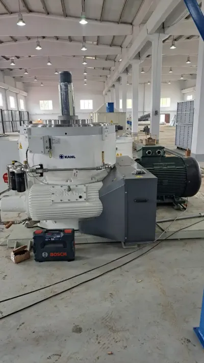 Pelletizing Systems